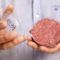 Frankenburguer: a cinco años de la primera hamburguesa in-vitro