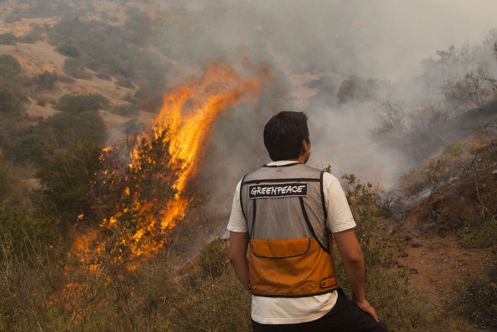 Greenpeace: “El cambio climático actuará como nuevo combustible para la propagación de incendios en la Patagonia”