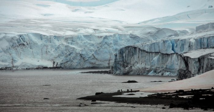 Ciencia en la Antártida: investigadores chilenos buscarán alternativas para los medicamentos del futuro