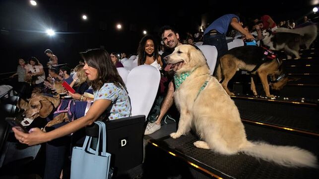 Un cine de Brasil abre sus puertas a 180 perros para un preestreno Un cine de Brasil abre sus puertas a 180 perros para un preestreno
