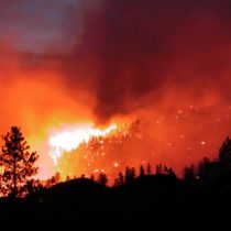 Científicos advierten sobre los desafíos ambientales para prevenir y controlar los incendios forestales