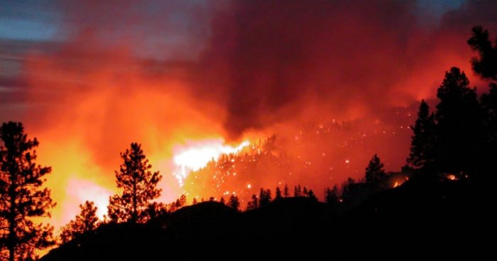 Científicos advierten sobre los desafíos ambientales para prevenir y controlar los incendios forestales Científicos advierten sobre los desafíos ambientales para prevenir y controlar los incendios forestales