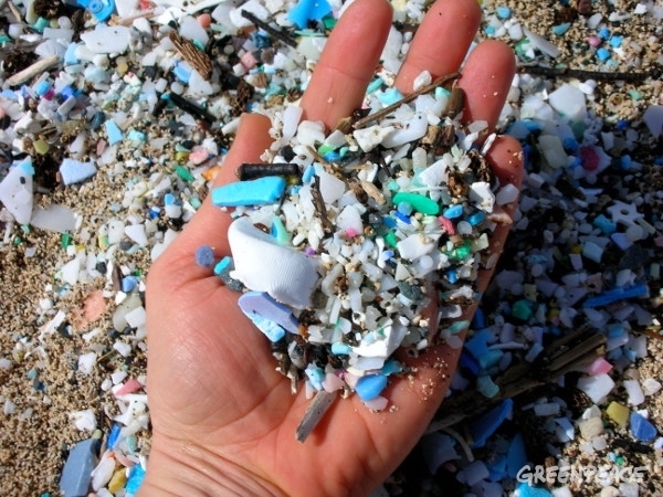 Informe alerta que el ciclo de vida del plástico es una amenaza para la salud humana