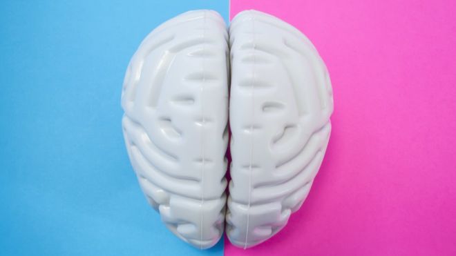 Neurocientífica Daphna Joel : «Los estudios que afirman que hay diferencias entre los cerebros de hombres y mujeres suelen ser usados políticamente» Neurocientífica Daphna Joel : «Los estudios que afirman que hay diferencias entre los cerebros de hombres y mujeres suelen ser usados políticamente»