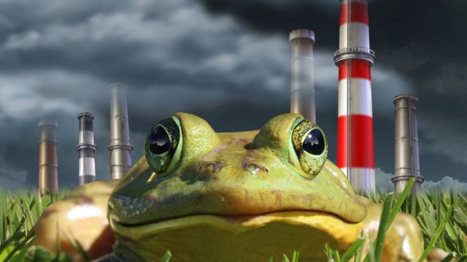 Qué es el “efecto de la rana hervida” que hace que perdamos interés por el cambio climático Qué es el