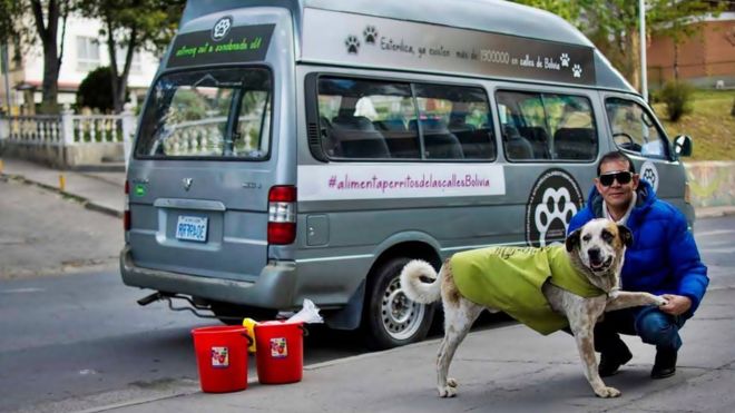 El boliviano que dejó su trabajo como exitoso hombre de negocios para alimentar a perros callejeros El boliviano que dejó su trabajo como exitoso hombre de negocios para alimentar a perros callejeros