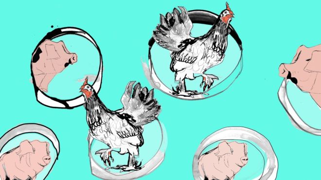 La carrera por producir carne artificial y cómo puede cambiar la forma en la que comemos La carrera por producir carne artificial y cómo puede cambiar la forma en la que comemos