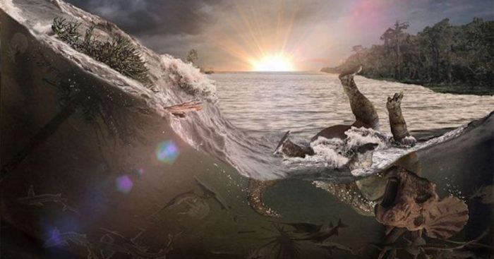 Chicxulub: el extraordinario hallazgo que revela lo que probablemente ocurrió unas horas después de que cayera el gigantesco asteroide que cambió la historia de nuestro planeta Chicxulub: el extraordinario hallazgo que revela lo que probablemente ocurrió unas horas después de que cayera el gigantesco asteroide que cambió la historia de nuestro planeta