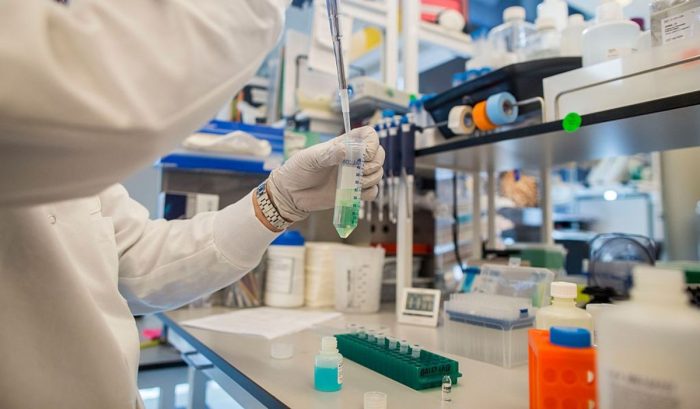 Optimismo por resultados de medicamento para el hígado graso Optimismo por resultados de medicamento para el hígado graso