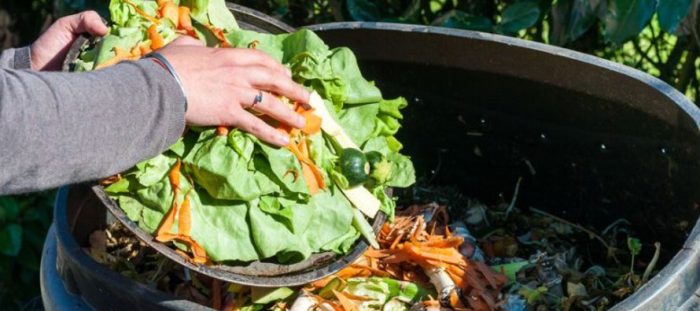Desperdicio de alimentos descontrola emisiones contaminantes en Norteamérica Desperdicio de alimentos descontrola emisiones contaminantes en Norteamérica