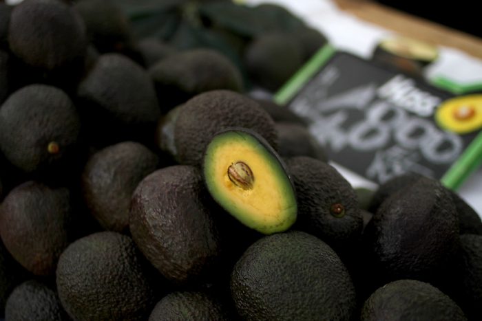 Productores de palta reaccionan a reportaje de El País que los acusa por la sequía: “desprestigia a un producto y a una industria sustentable” Productores de palta reaccionan a reportaje de El País que los acusa por la sequía:
