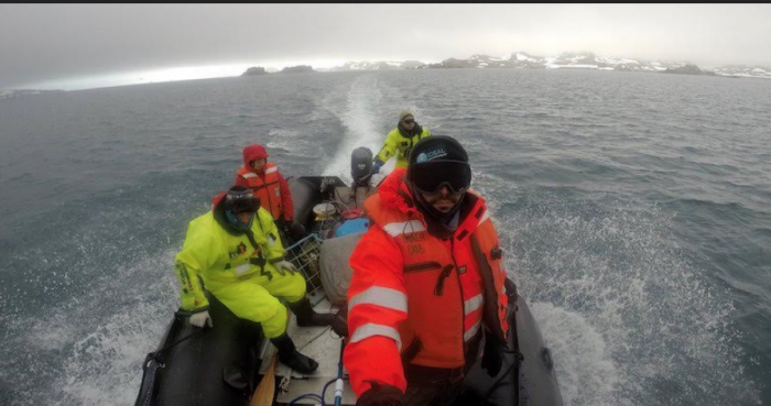 La bitácora antártica del doctor Höfer: la furia de las olas La bitácora antártica del doctor Höfer: la furia de las olas