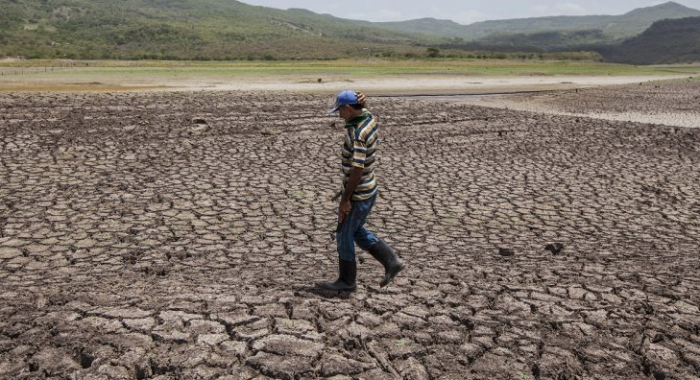 Terminemos la parodia y cambiemos la percepción sobre el cambio climático Terminemos la parodia y cambiemos la percepción sobre el cambio climático