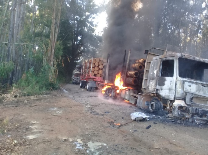 Pese al estado de excepción, quemaron 6 maquinarias forestales en Contulmo, Región del Biobío Pese al estado de excepción, quemaron 6 maquinarias forestales en Contulmo, Región del Biobío