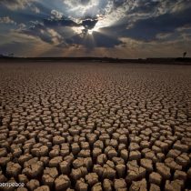 Día Mundial del Agua: el mundo se seca gota a gota
