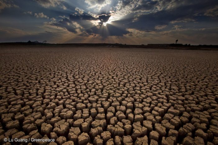 Día Mundial del Agua: el mundo se seca gota a gota