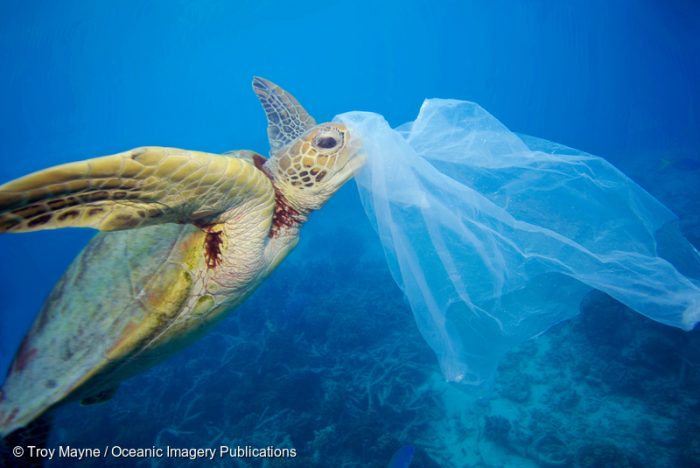 Estudio revela impactante alcance de la contaminación del plástico en las mayores profundidades del mar