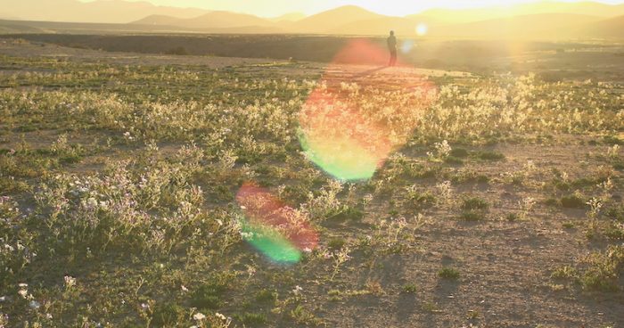 Documental sobre los últimos agricultores del Desierto de Atacama es seleccionado en Festival Cinema Du Réel en Francia