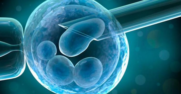 Dr. Alfonso Martínez-Arias de U. Cambridge: “Utilizando células madres podremos crear embriones humanos” Dr. Alfonso Martínez-Arias de U. Cambridge: “Utilizando células madres podremos crear embriones humanos”