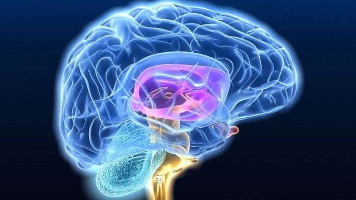 El estudio con futbolistas que busca poder diagnosticar el Alzheimer El estudio con futbolistas que busca poder diagnosticar el Alzheimer