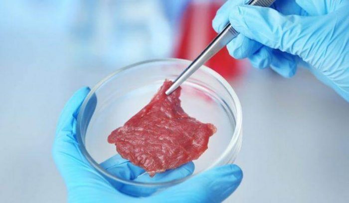 Estudio tantea posibilidad de que carne in-vitro sea peor para medioambiente