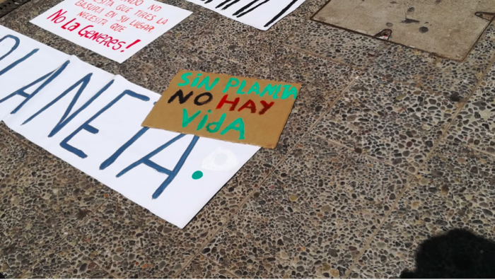 Como un éxito calificaron la primera convocatoria de #FridaysForFuture Como un éxito calificaron la primera convocatoria de #FridaysForFuture