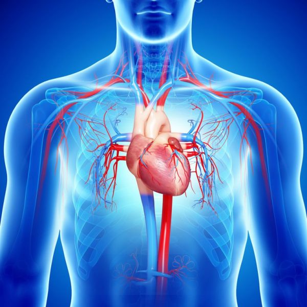 Piden que tratamiento para personas con insuficiencia cardiaca sea incluida en el GES Piden que tratamiento para personas con insuficiencia cardiaca sea incluida en el GES