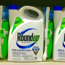Monsanto condenado a pagar US$ 81 millones por efectos cancerígenos de herbicida