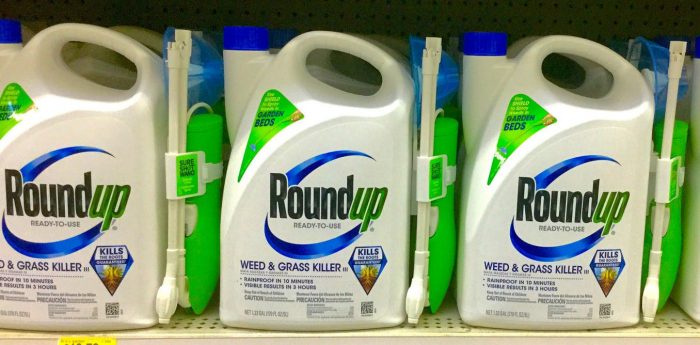 Monsanto condenado a pagar US$ 81 millones por efectos cancerígenos de herbicida Monsanto condenado a pagar US$ 81 millones por efectos cancerígenos de herbicida