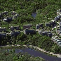 UdeC destaca valor medioambiental: Parque Científico del Bío Bío apunta a protección y restauración de bosque nativo
