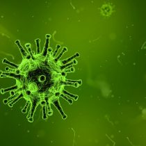 Coronavirus: “La interconexión global expande microorganismos que antes solo se encontraban en ciertas áreas geográficas”