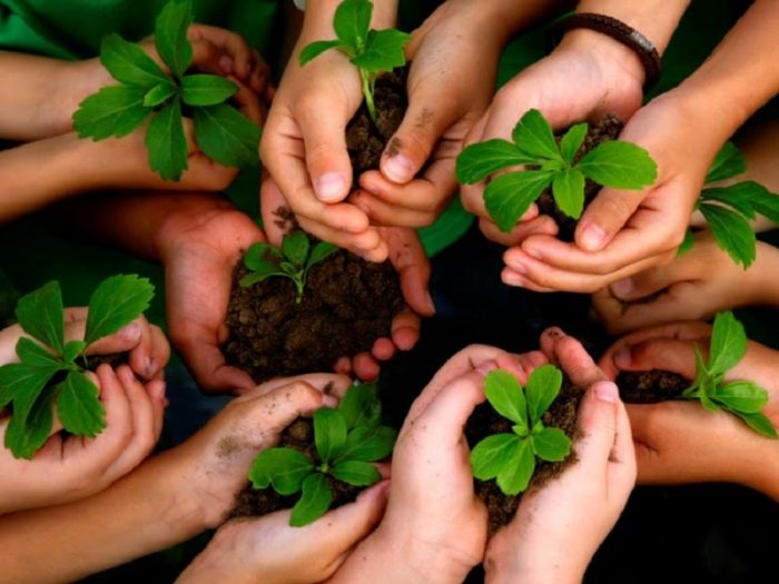 Se necesitan 31 años para un mundo sustentable Se necesitan 31 años para un mundo sustentable