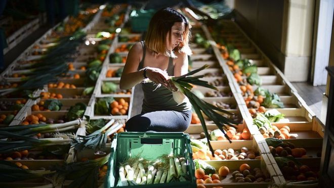 12 innovaciones para acabar con el desperdicio de comida