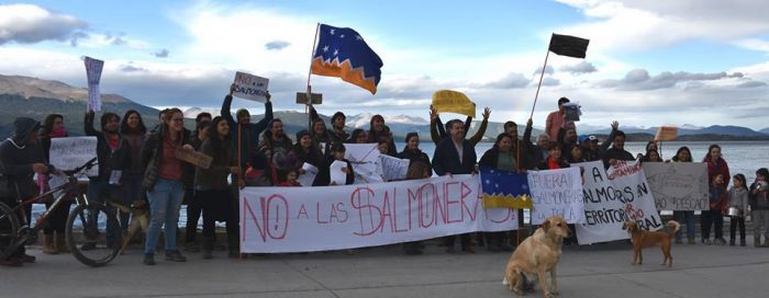 Corte de Apelaciones obliga suspender operaciones de salmoneras en la Patagonia Corte de Apelaciones obliga suspender operaciones de salmoneras en la Patagonia