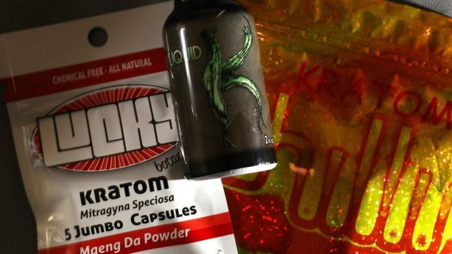 Qué es el kratom, el suplemento natural que causó la muerte de 91 personas en Estados Unidos en poco más de un año Qué es el kratom, el suplemento natural que causó la muerte de 91 personas en Estados Unidos en poco más de un año