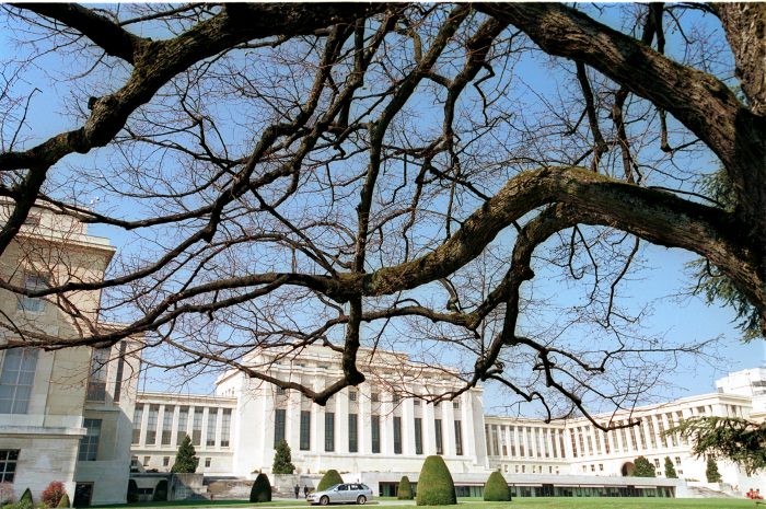 ¿Chile respeta la Convención de Naciones Unidas sobre Desapariciones Forzadas? ¿Chile respeta la Convención de Naciones Unidas sobre Desapariciones Forzadas?
