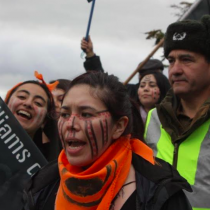 Resistencia magallánica a reyes noruegos motiva manifiesto binacional contra salmoneras en el Canal Beagle