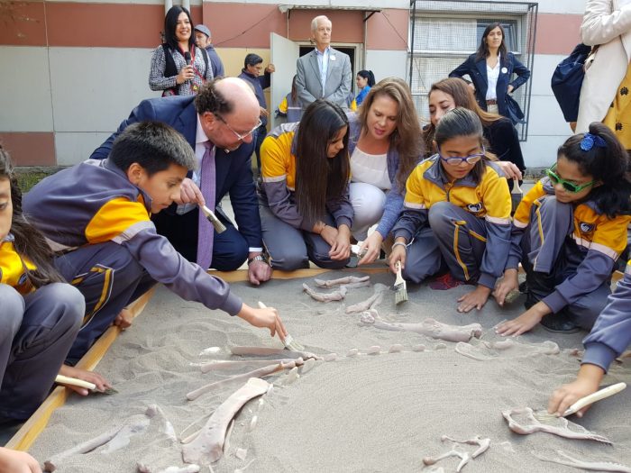 Abren postulaciones al Fondo Nacional de Proyectos Inclusivos 2019 Abren postulaciones al Fondo Nacional de Proyectos Inclusivos 2019