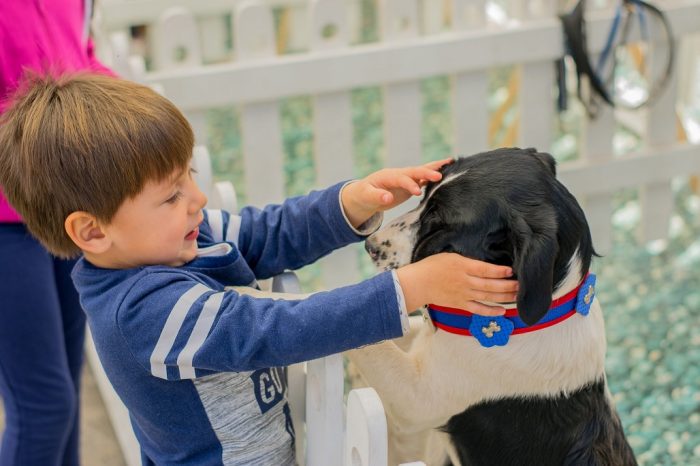 Feria Pets llega a Quilicura con divertidas actividades y lo último en productos para mascotas Feria Pets llega a Quilicura con divertidas actividades y lo último en productos para mascotas