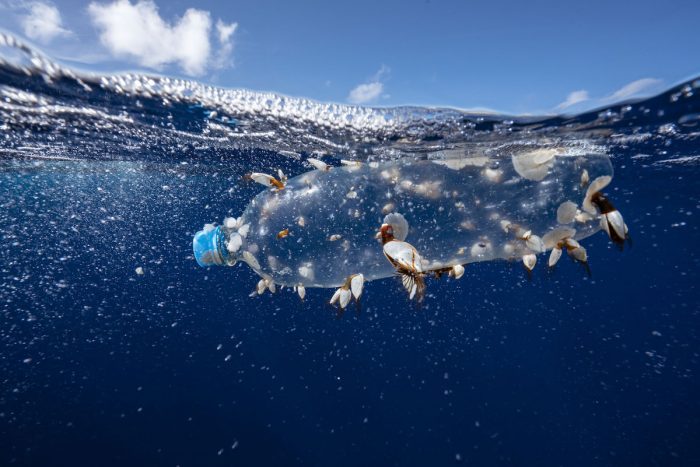 Científicos presentan innovador estudio para proteger 1/3 de los océanos el 2030