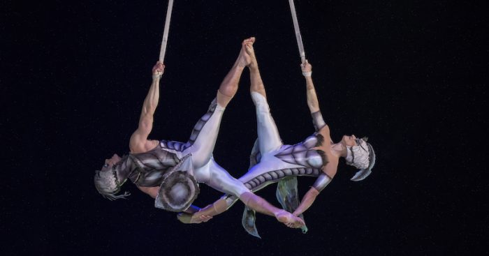 Cirque du Soleil regresa a Chile con su nuevo espectáculo OVO Cirque du Soleil regresa a Chile con su nuevo espectáculo OVO