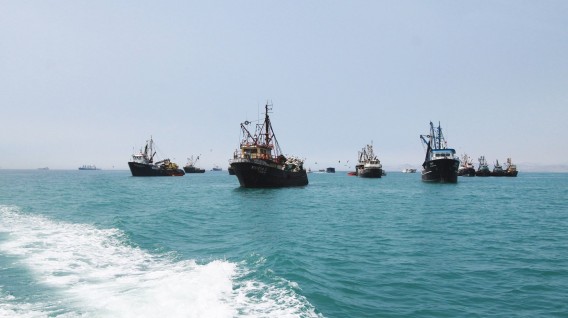 Armada captura tres pesqueros peruanos que estaban ilegalmente faenando en el país