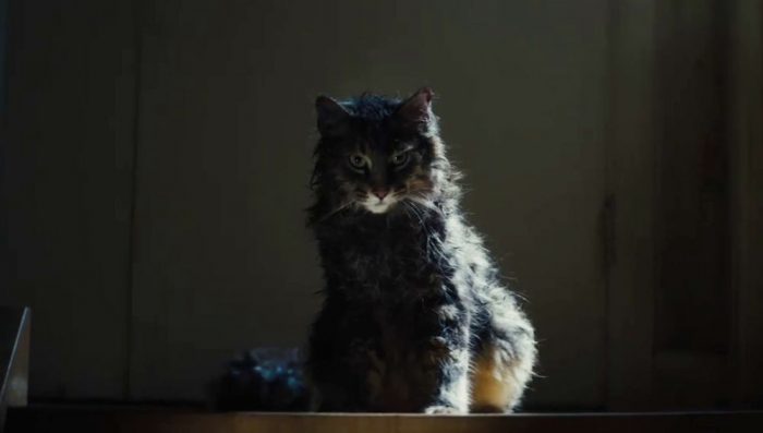 “Cementerio de animales” de Stephen King vuelve por partida doble “Cementerio de animales” de Stephen King vuelve por partida doble