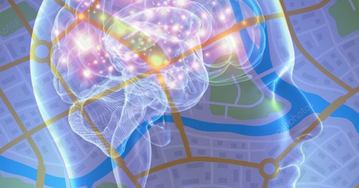 Neurociencias: depresión podría afectar oscilación cerebral que actúa como GPS interno Neurociencias: depresión podría afectar oscilación cerebral que actúa como GPS interno