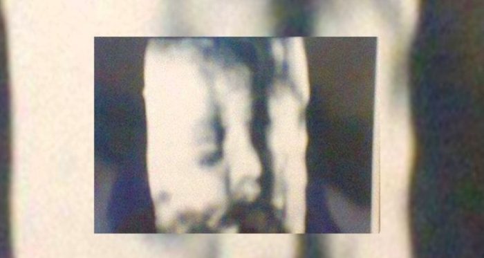 Denuncian a médico del Maule que entregó la misma ecografía 3D durante 8 años a embarazadas Denuncian a médico del Maule que entregó la misma ecografía 3D durante 8 años a embarazadas