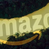 Por qué 8 países sudamericanos están luchando contra Amazon por un nombre