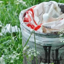 Más allá del reciclaje: iniciativa busca que se declare el 2 de junio como el Día Nacional Sin Basura