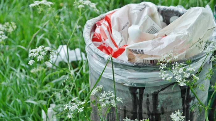 Más allá del reciclaje: iniciativa busca que se declare el 2 de junio como el Día Nacional Sin Basura Más allá del reciclaje: iniciativa busca que se declare el 2 de junio como el Día Nacional Sin Basura