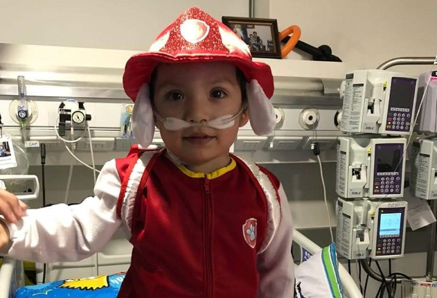Fallece Iván Alcaya, el pequeño niño que era prioridad para un trasplante de corazón Fallece Iván Alcaya, el pequeño niño que era prioridad para un trasplante de corazón