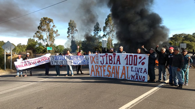 Comisión de Pesca de la Cámara rechazó prorrogar entrada en vigencia de la ley de la jibia Comisión de Pesca de la Cámara rechazó prorrogar entrada en vigencia de la ley de la jibia